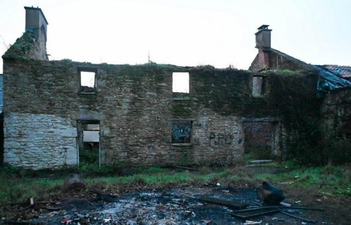 Notre-Dame-des-Landes: borrando las huellas de la presencia de los zadistas