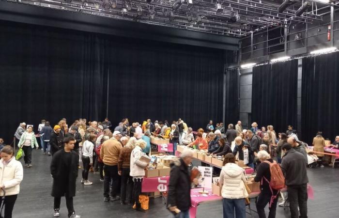 EN FOTOS – Éxito de la 4ª edición de la venta de libros en el Domaine de Bayssan, en Béziers