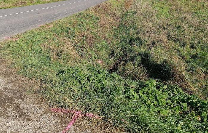 “Es un accidente estúpido”: mientras iba a jugar a la lotería, un hombre de sesenta años muere en una carretera departamental de Tarn y Garona