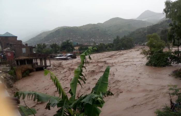 Lluvias torrenciales causan muerte de hombres y destrucción de campos