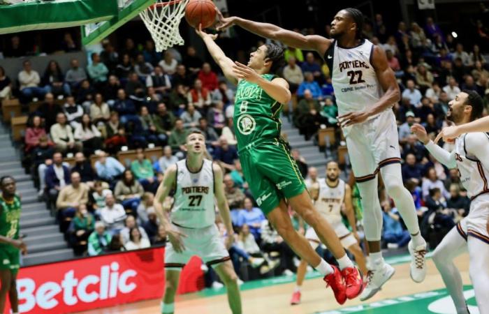 DIRECTO. Pro B. Revive la victoria del Poitiers Basket 86 contra el ADA Blois