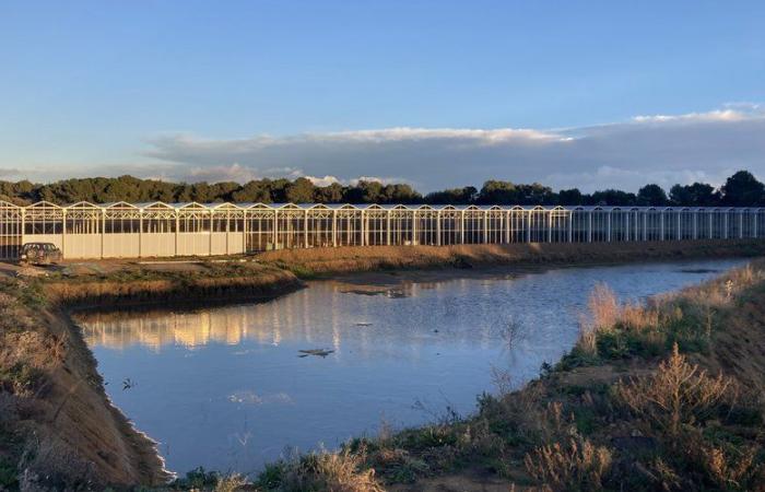 Producir más electricidad con energías verdes: los diferentes recursos existentes en Hérault