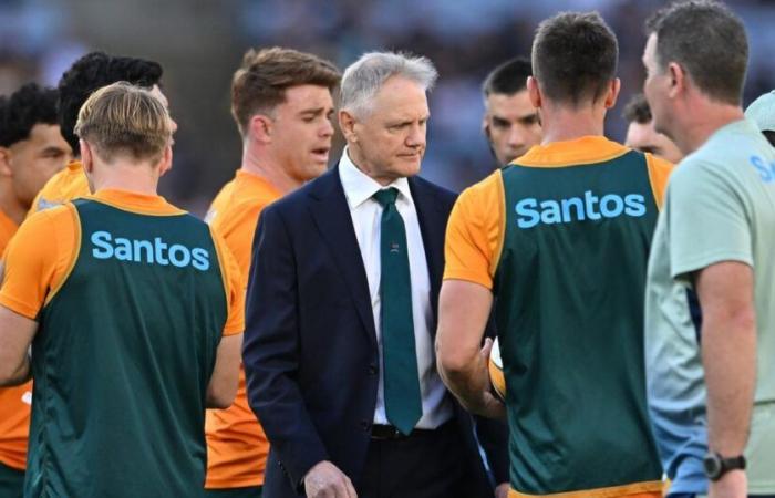 “Siento que estoy remando fuerte”, Joe Schmidt regresa a Irlanda para reconstruir Australia