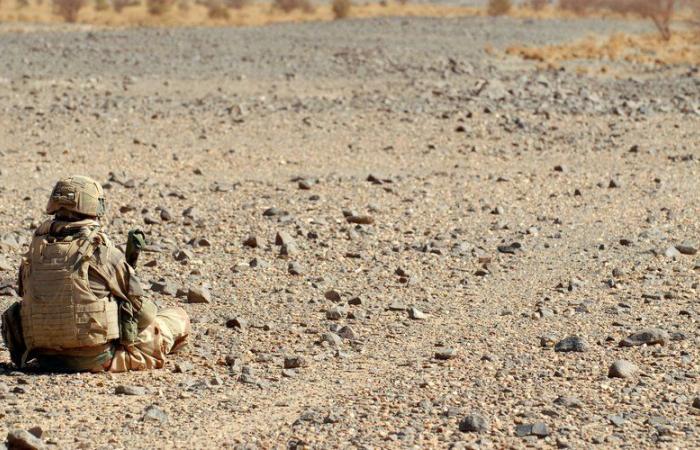 ENTREVISTA. Malí, Níger, Burkina-Faso, Chad, Senegal: “Es el fin de la influencia francesa en África”