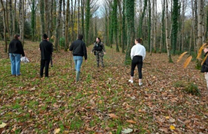 Adolescente desaparecida en Bretaña: cerca de 800 voluntarios para una caza, la investigación continúa: Noticias