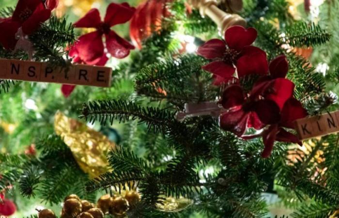 Estados Unidos: un septuagenario decora una calle entera para su esposa, que padece Alzheimer, antes de Navidad: Noticias