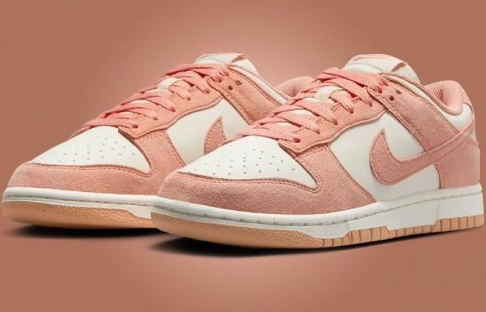 El Nike Dunk Low Soft Pearl Apricot Agate se lanzará en la primavera de 2025