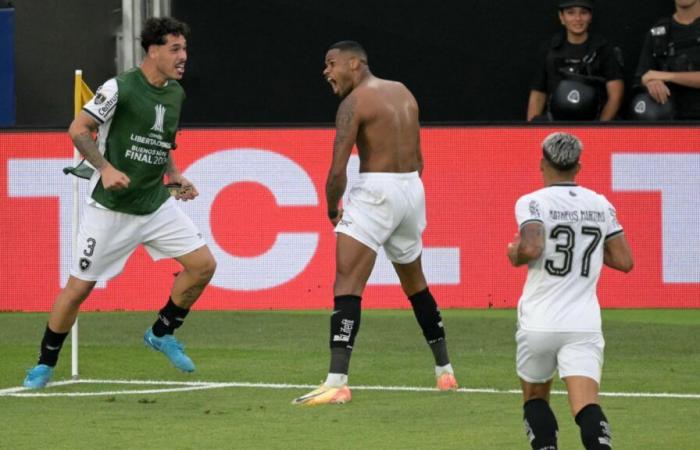 El Botafogo de John Textor se corona campeón, buenas noticias para el OL