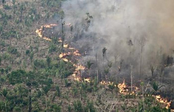 La agricultura intensiva y la deforestación están llevando al planeta al “borde del precipicio”, según la ONU