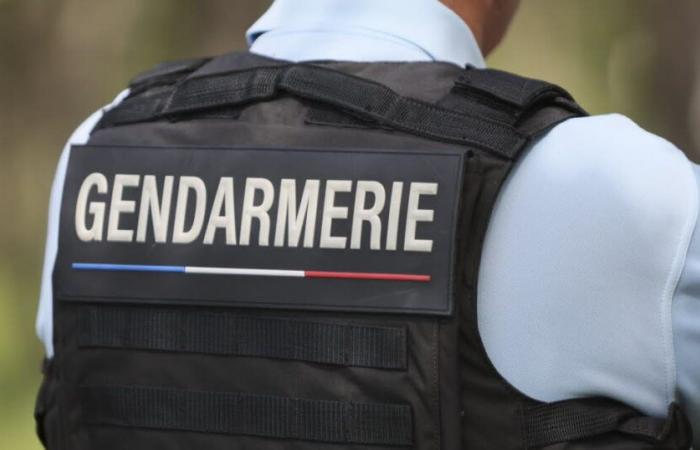 Vaucluse. Encuentran a un hombre desaparecido que padecía Alzheimer a última hora del día