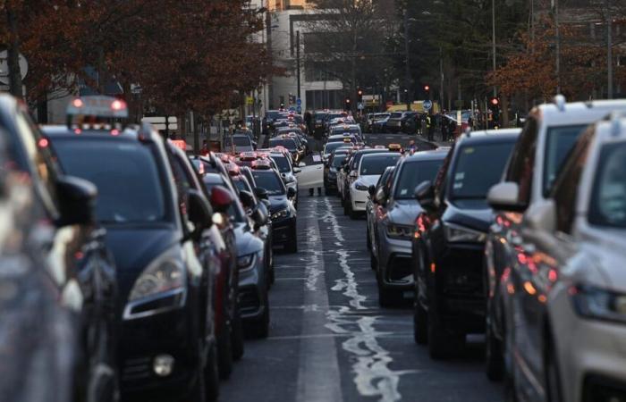 Cientos de taxis del Loira y del Alto Loira se reúnen el lunes en Lyon