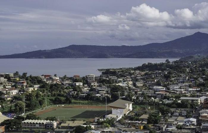 Mayotte: la lucha contra la gripe continúa con la vacunación gratuita hasta enero de 2025 – LINFO.re