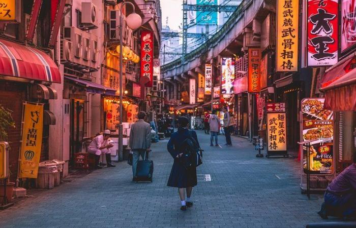 Saint-Céré. Inmersión japonesa en la mediateca.