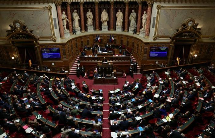 La izquierda abandona la cámara del Senado y denuncia un “golpe de fuerza”