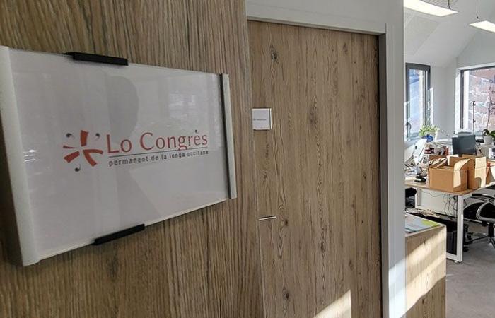 Aure Seguier, responsable del centro informático del Congreso Permanente de la Lengua Occitana