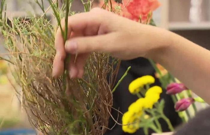 Los floristas están expuestos a numerosos pesticidas, algunos de ellos prohibidos en Suiza – rts.ch