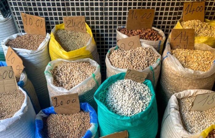 Fez: cómo la subida de precios impacta en el consumo de legumbres en invierno