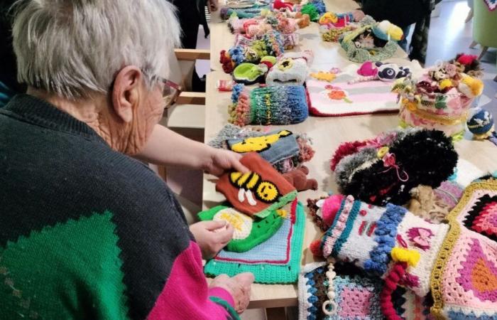 Los aficionados al tejido ofrecen sus creaciones a los residentes de una residencia de ancianos de Creuse para estimularlos