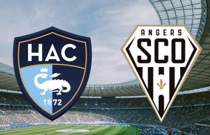 Le Havre – Angers: ¿en qué canal y a qué hora ver en directo el partido de la Ligue 1?