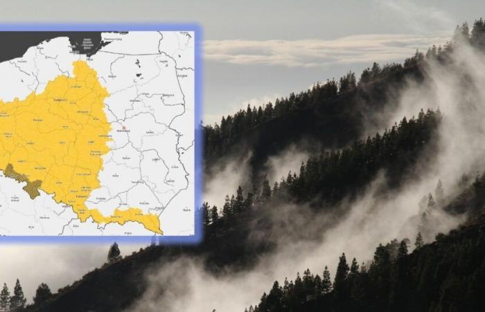 Pronóstico del tiempo. IMWM advierte contra la niebla. La mitad de Polonia en alerta