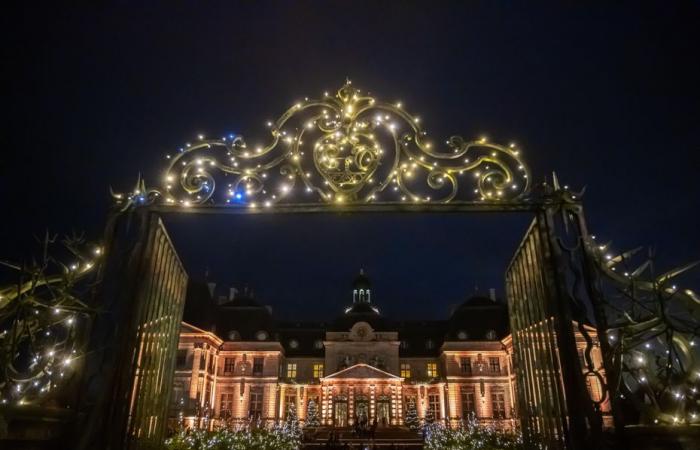 nuestra selección de 5 castillos en Île-de-France para pasar un tiempo maravilloso