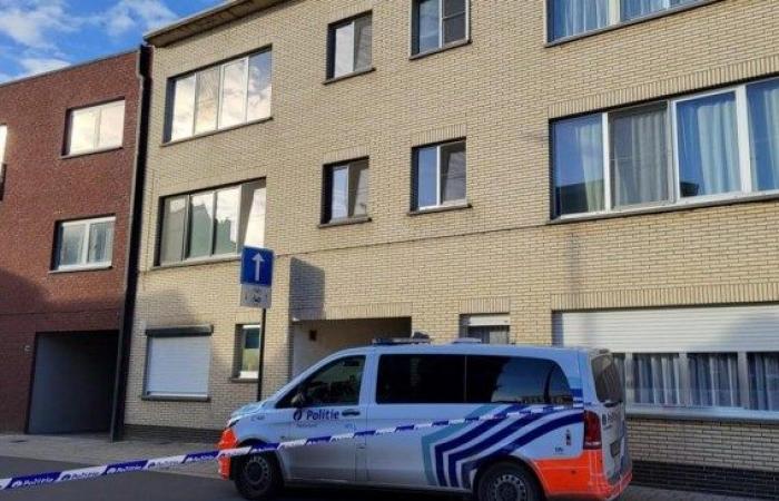 Mujer (46) asesinada “muy violentamente” en Herentals, su pareja (54) arrestada