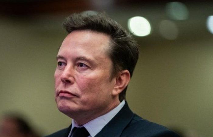 INFORMES. Elon Musk: “Divididos”, “locos”, “perturbados”… los estadounidenses oscilan entre la admiración y el disgusto por el hombre más rico del mundo