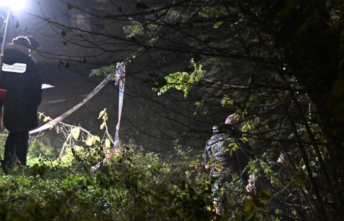 LE CREUSOT: El macabro descubrimiento de medio cuerpo plantea muchas… ¡preguntas escalofriantes!