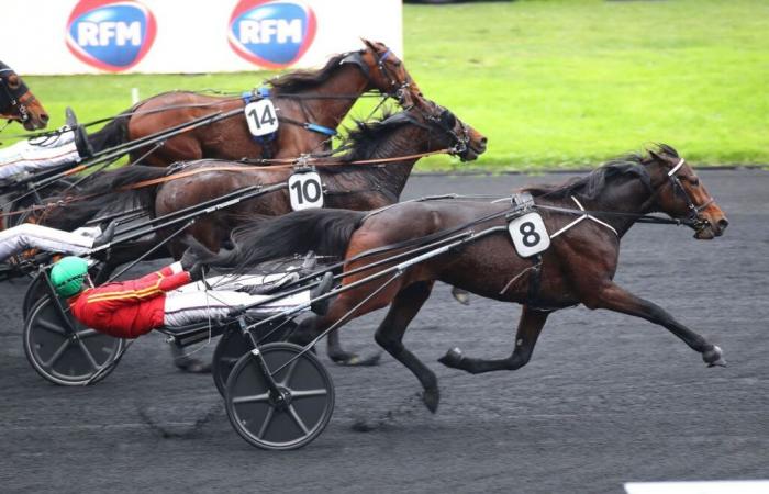 Domingo 1 de diciembre en Vincennes