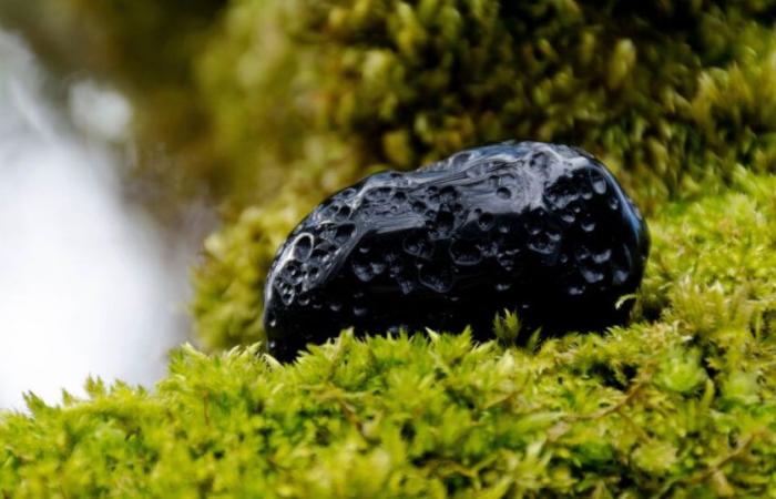 ¡Su piedra “ordinaria” esconde un tesoro mucho más precioso que el oro!