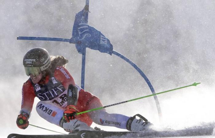 Rast 3e, Héctor Gagne, Paracaídas Shiffrin