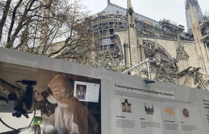 ¿Notre-Dame de París tendrá algún día su propio museo?