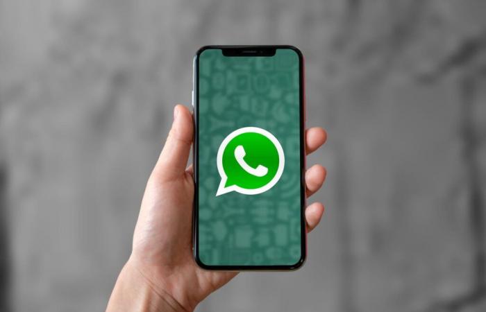 WhatsApp dejará de funcionar en una veintena de teléfonos a partir de 2025