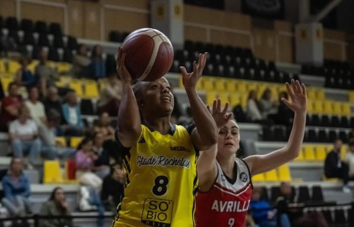 El baloncesto landés: Las esperanzas demasiado fuertes para las Rochelaises