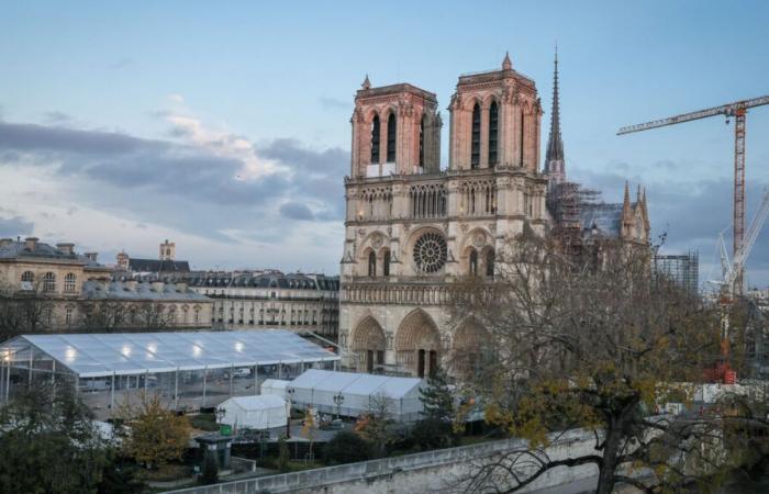 Del incendio a la reapertura de Notre-Dame, nuestras ediciones especiales para recordar