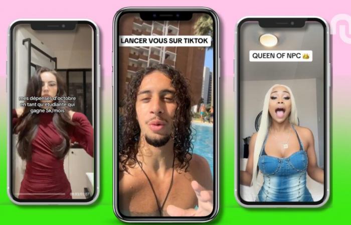 “10.000 euros en tres meses”: ¿es realmente colosal la remuneración por las visualizaciones de TikTok?