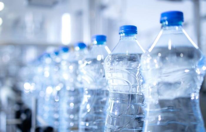 El agua embotellada pronto será más cara en Francia: ¿qué impacto tendrá en sus compras transfronterizas?