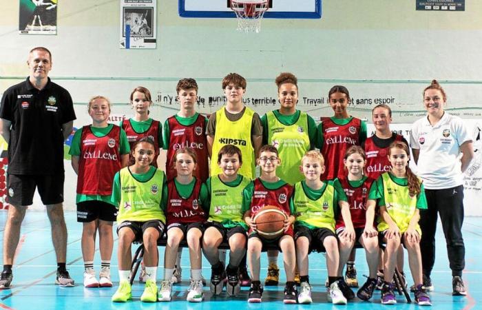 Baloncesto: en ABC Guingamp, el entrenamiento cobra fuerza