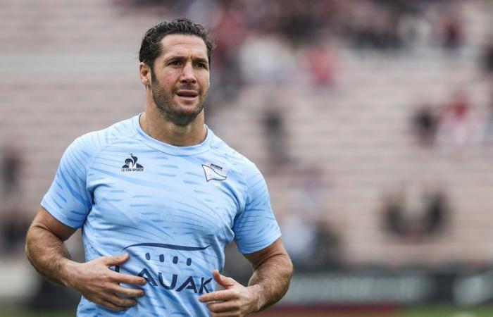 Transferencias Top 14 / Pro D2 – Maxime Machenaud entre Bayona y Brive