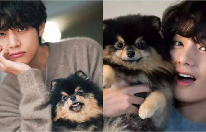 Muerte de BTS V Dog Yeontan: BTS V escribe una desgarradora publicación en Instagram lamentando la muerte de su perro mascota – ‘ARMY Loved Yeontan’