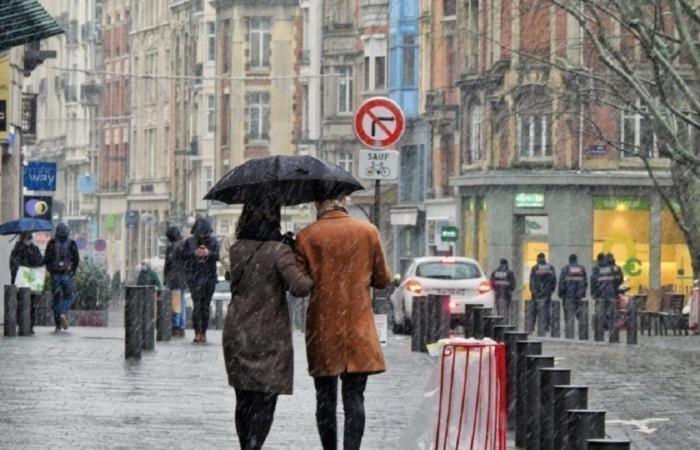 El tiempo de la semana en el Norte y el Paso de Calais.