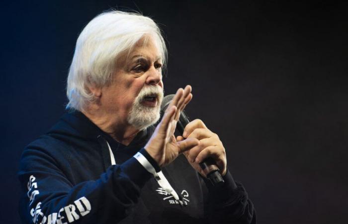 La detención del activista medioambiental Paul Watson en Groenlandia se prolonga hasta el 18 de diciembre