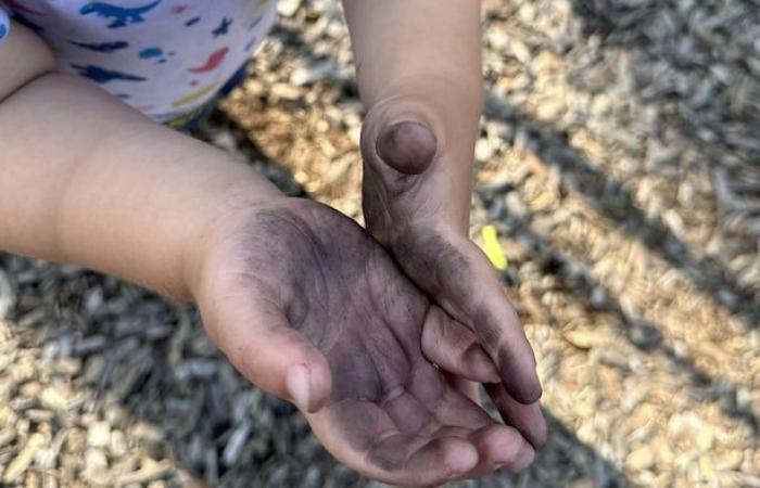 “Eso lo respiramos”: un hollín misterioso siembra preocupación en Ontario