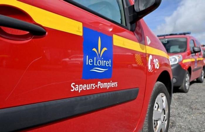 Accidente fatal, el OLB que gana, la mejor mayonesa de huevo del mundo… El resumen del fin de semana en Loiret