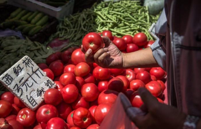 Marcas de pasta de tomate vinculadas al trabajo forzoso en China