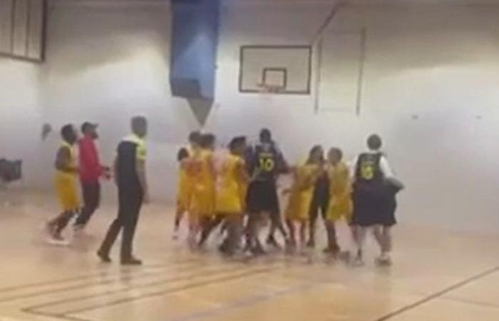 Baloncesto: “El gorila llora” o “ladra”, ¿qué pasó el viernes por la noche durante el partido Mende – Rodez III?