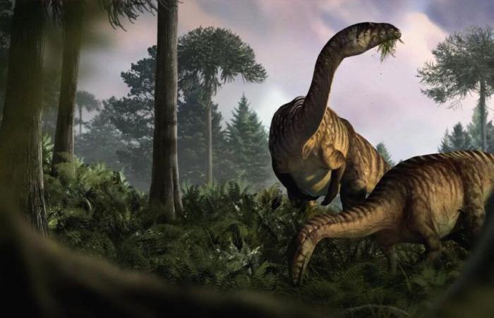 Heces y vómitos fosilizados revelan cómo los dinosaurios dominaron el planeta