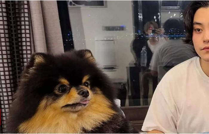 V de BTS, también conocido como Kim Taehyung, lamenta la pérdida de su perro Yeontan y escribe una nota sentida