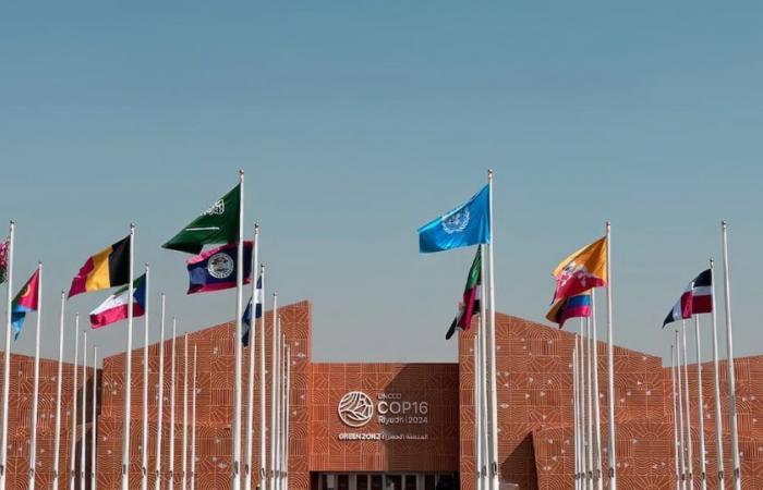 COP16: Se inaugura en Arabia Saudita la conferencia de la ONU sobre la desertificación