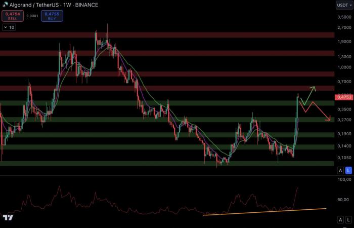 ¿Una explosión en diciembre para las altcoins? – Criptos para mirar